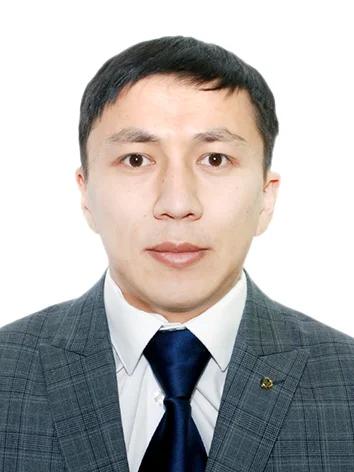 Разработчик Аян